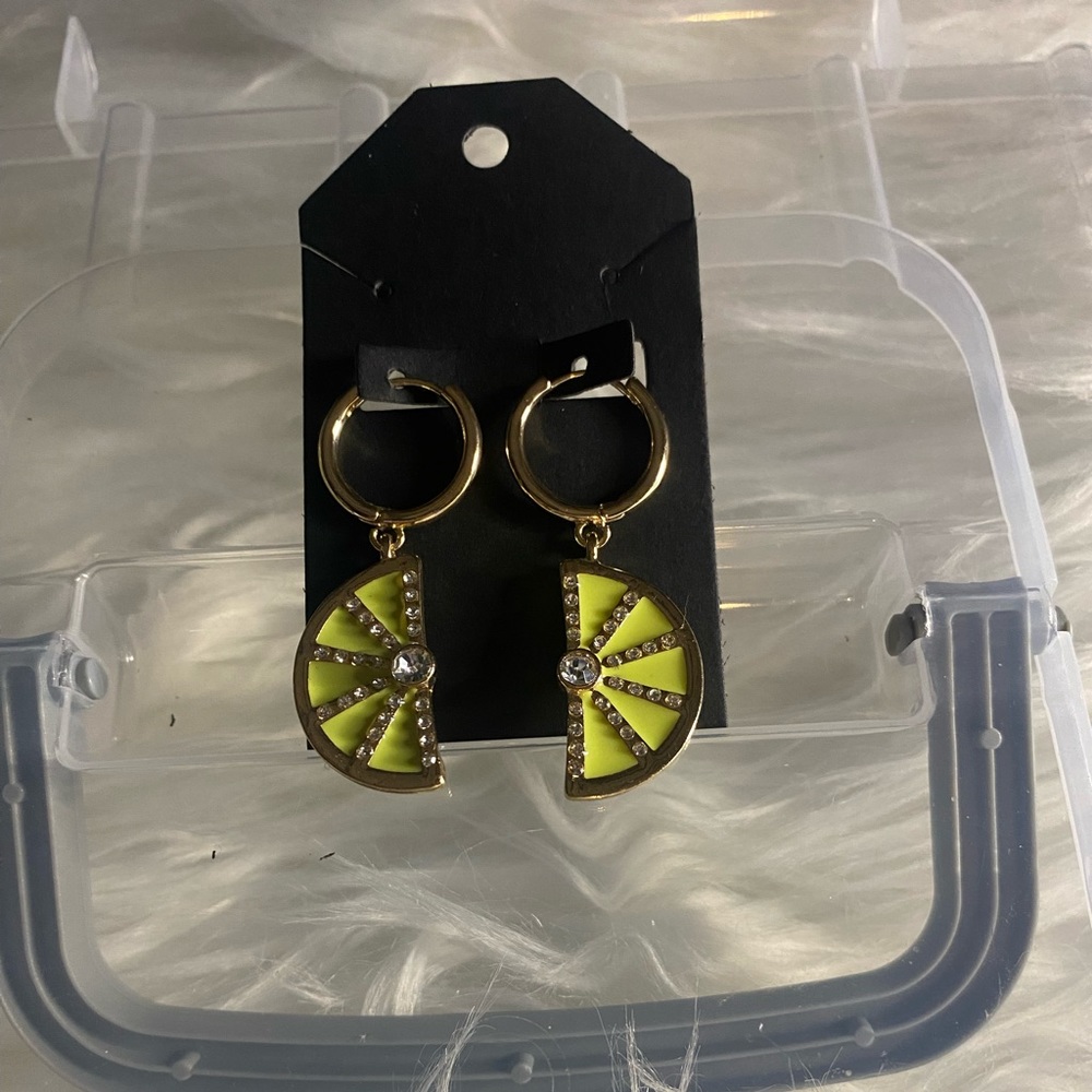 Earrings